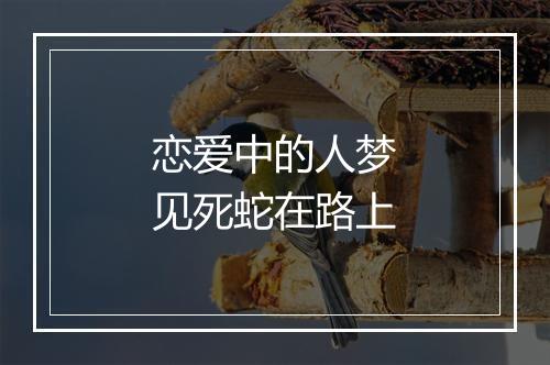 恋爱中的人梦见死蛇在路上