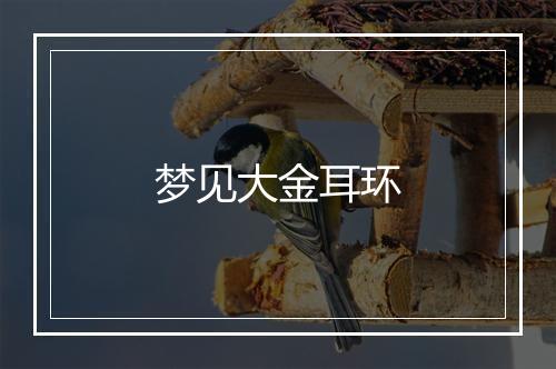 梦见大金耳环