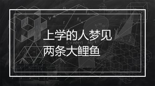 上学的人梦见两条大鲤鱼