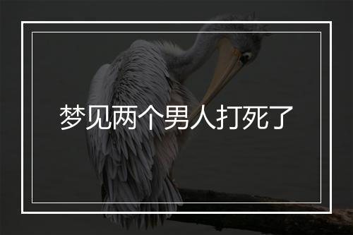 梦见两个男人打死了