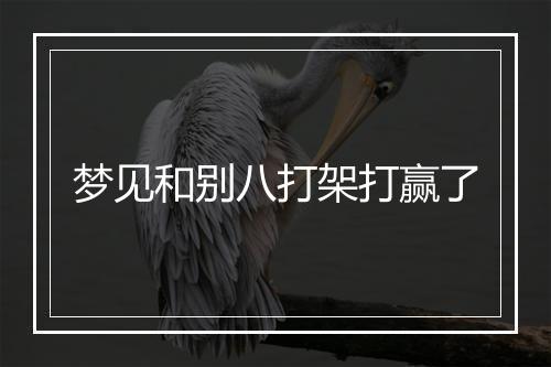 梦见和别八打架打赢了