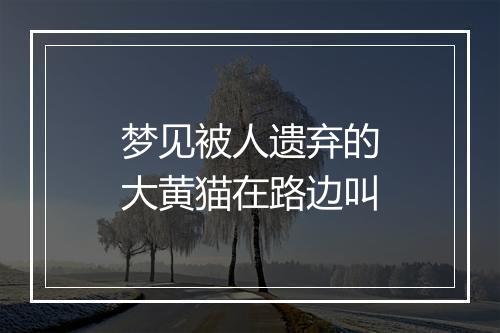 梦见被人遗弃的大黄猫在路边叫