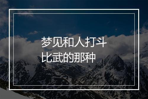 梦见和人打斗比武的那种