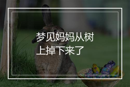 梦见妈妈从树上掉下来了