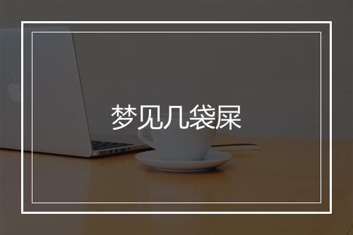 梦见几袋屎