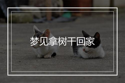 梦见拿树干回家