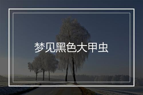 梦见黑色大甲虫