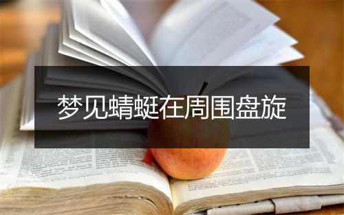 梦见蜻蜓在周围盘旋