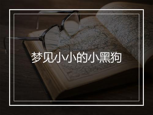 梦见小小的小黑狗