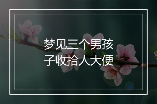 梦见三个男孩子收拾人大便