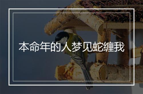 本命年的人梦见蛇缠我