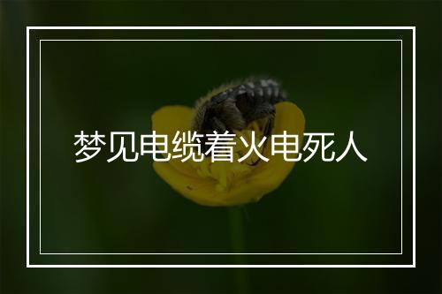 梦见电缆着火电死人