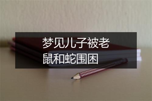 梦见儿子被老鼠和蛇围困