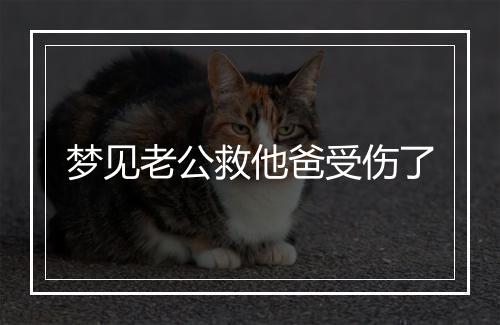 梦见老公救他爸受伤了