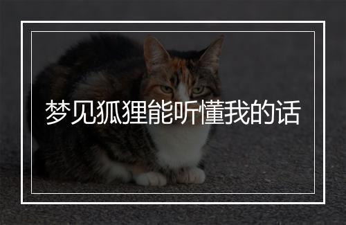 梦见狐狸能听懂我的话