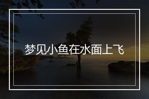 梦见小鱼在水面上飞