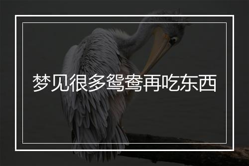 梦见很多鸳鸯再吃东西