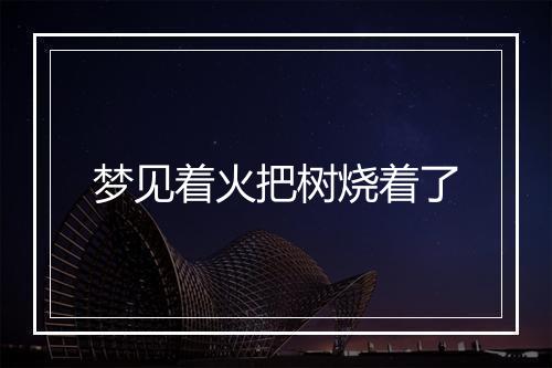 梦见着火把树烧着了