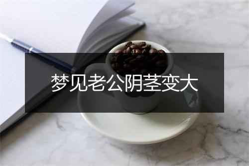 梦见老公阴茎变大