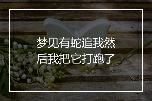 梦见有蛇追我然后我把它打跑了