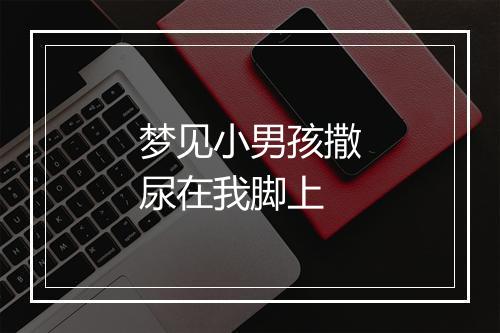 梦见小男孩撒尿在我脚上