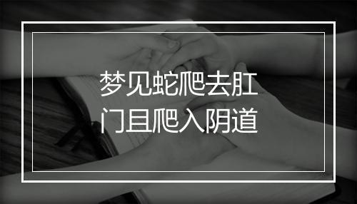 梦见蛇爬去肛门且爬入阴道