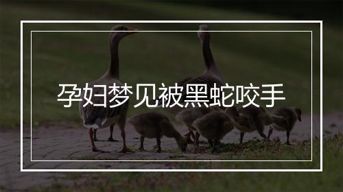 孕妇梦见被黑蛇咬手