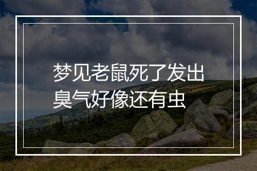 梦见老鼠死了发出臭气好像还有虫