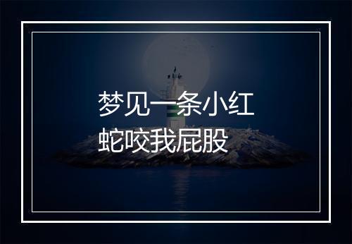 梦见一条小红蛇咬我屁股