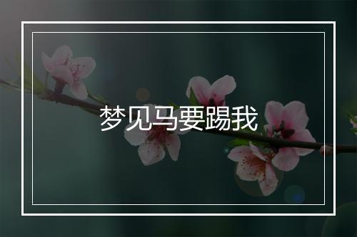 梦见马要踢我