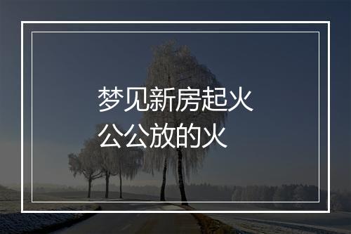 梦见新房起火公公放的火