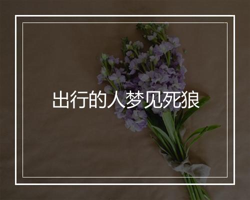 出行的人梦见死狼