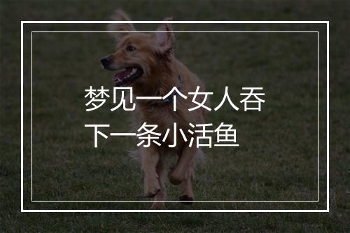 梦见一个女人吞下一条小活鱼