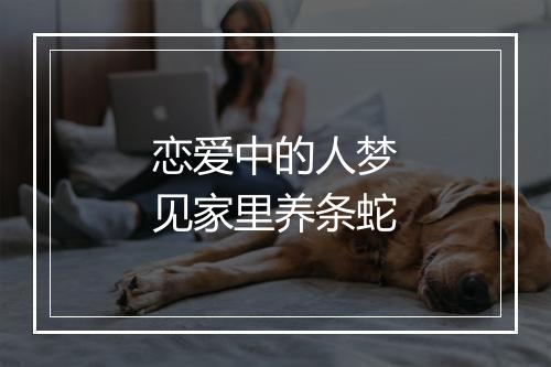 恋爱中的人梦见家里养条蛇