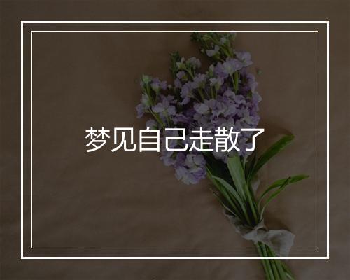 梦见自己走散了