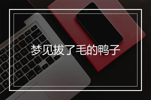 梦见拔了毛的鸭子