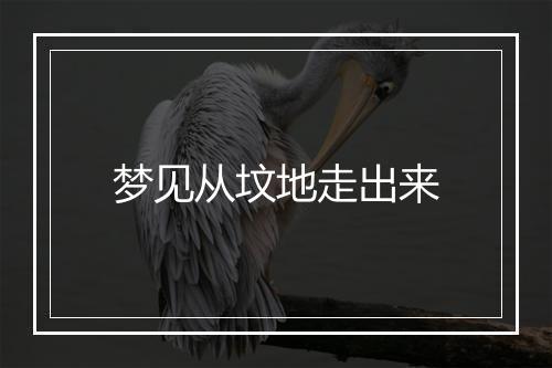 梦见从坟地走出来