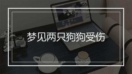 梦见两只狗狗受伤