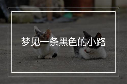 梦见一条黑色的小路