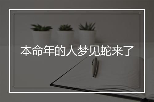 本命年的人梦见蛇来了