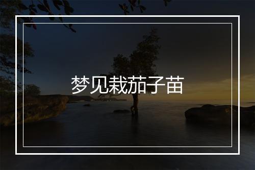 梦见栽茄子苗