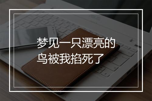 梦见一只漂亮的鸟被我掐死了