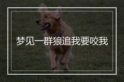 梦见一群狼追我要咬我