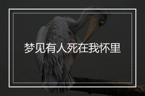 梦见有人死在我怀里