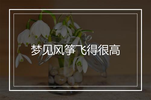 梦见风筝飞得很高