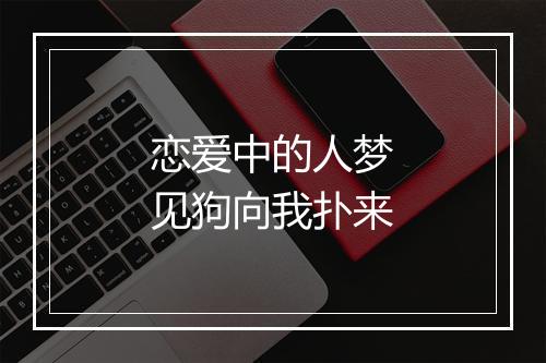 恋爱中的人梦见狗向我扑来