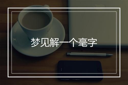 梦见解一个毫字