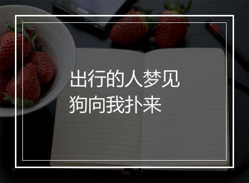 出行的人梦见狗向我扑来