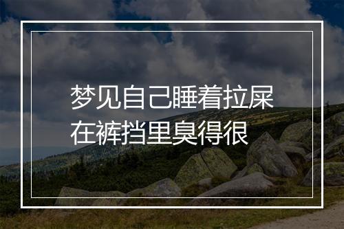 梦见自己睡着拉屎在裤挡里臭得很