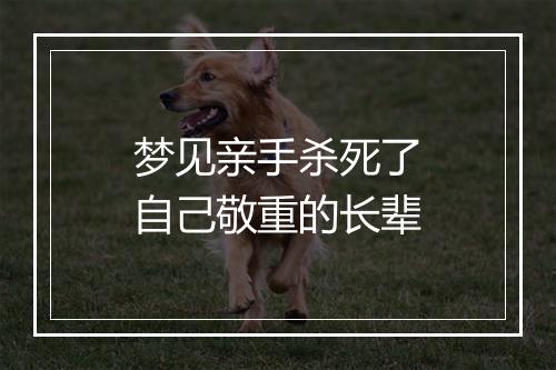 梦见亲手杀死了自己敬重的长辈